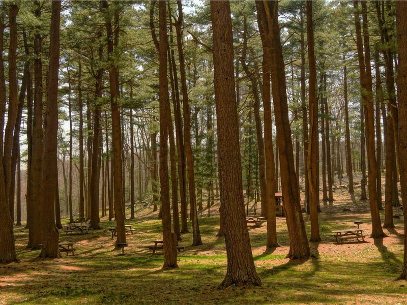 sudoku background music screenshot 5