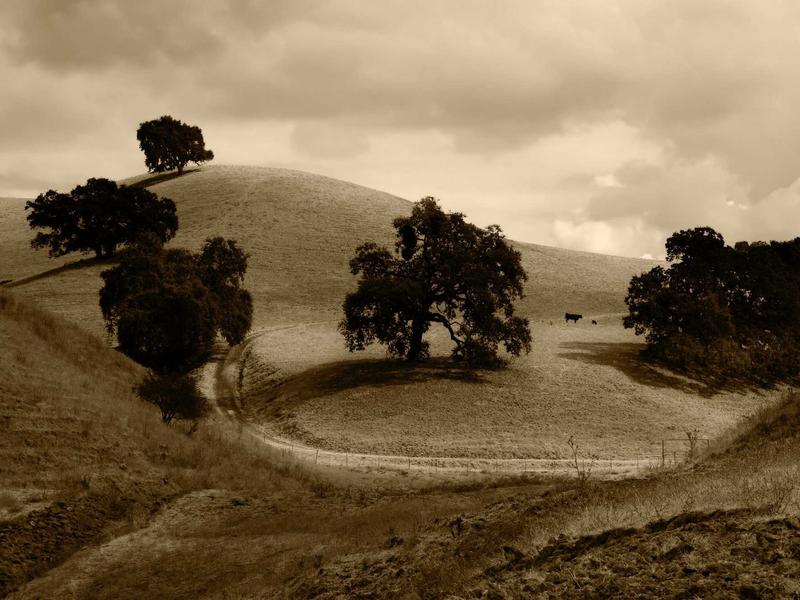 sudoku background music screenshot 3